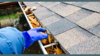 Gutter Cleaning