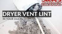 Dryer Vent Cleaning