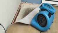 Mold Remediation