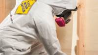 Mold Removal & Remediation