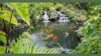 Pond Design