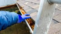 Gutter Cleaning