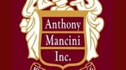 Mancini Electric