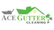 Ace Gutter Cleaning