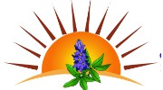 BlueBonnet Solar Power