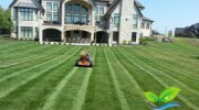 Lawn Mowing & Maintenance