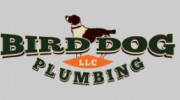 Bird Dog Plumbing