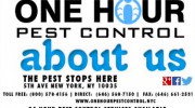 One Hour Pest Control