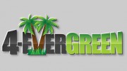 4-Evergreen