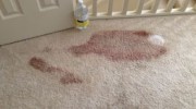 Stain Removal