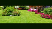 RcR Landscaping & MORE