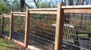 4' Austin style fence with puppy picket accent