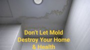 Mold Removal