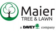 Maier Forest & Tree