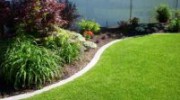 Vision Landscaping